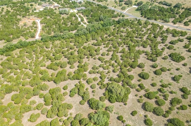 316 Ash Juniper Way, Bertram, TX 78605 - photo 5