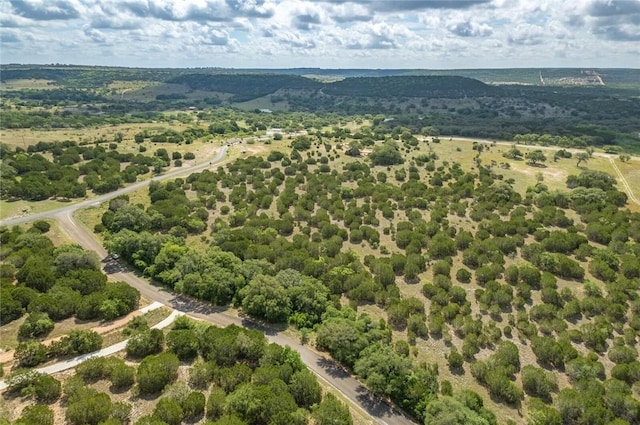 316 Ash Juniper Way, Bertram, TX 78605 - photo 6