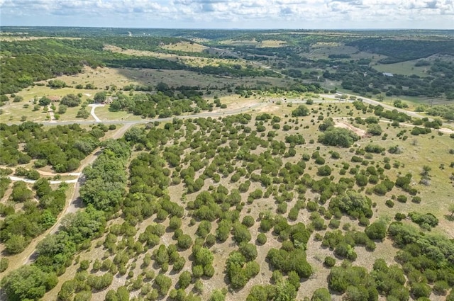 316 Ash Juniper Way, Bertram, TX 78605 - photo 8