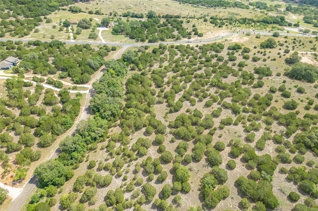 316 Ash Juniper Way, Bertram, TX 78605 - photo 9