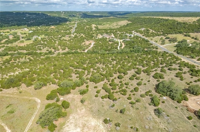 316 Ash Juniper Way, Bertram, TX 78605 - photo 11