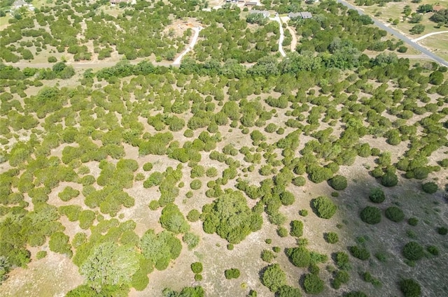 316 Ash Juniper Way, Bertram, TX 78605 - photo 12