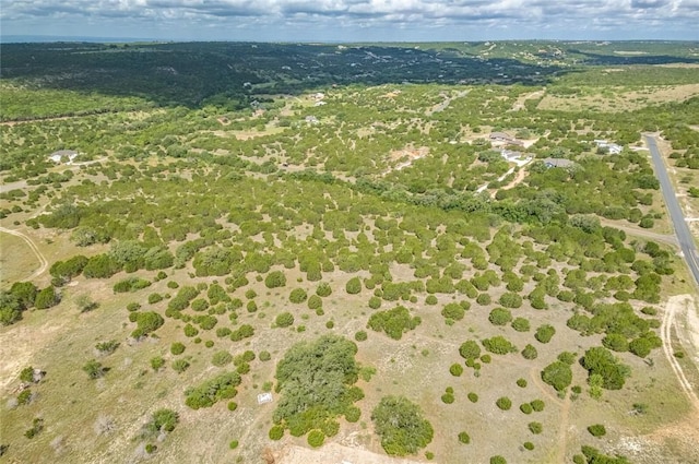 316 Ash Juniper Way, Bertram, TX 78605 - photo 13