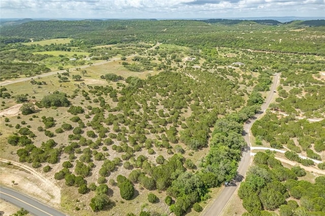 316 Ash Juniper Way, Bertram, TX 78605 - photo 14