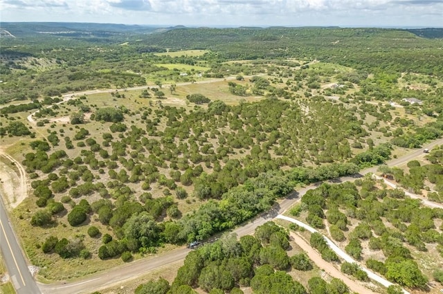 316 Ash Juniper Way, Bertram, TX 78605 - photo 15