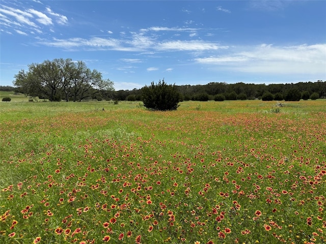 LOT158 Addax Ct, Lampasas TX, 76550 land for sale