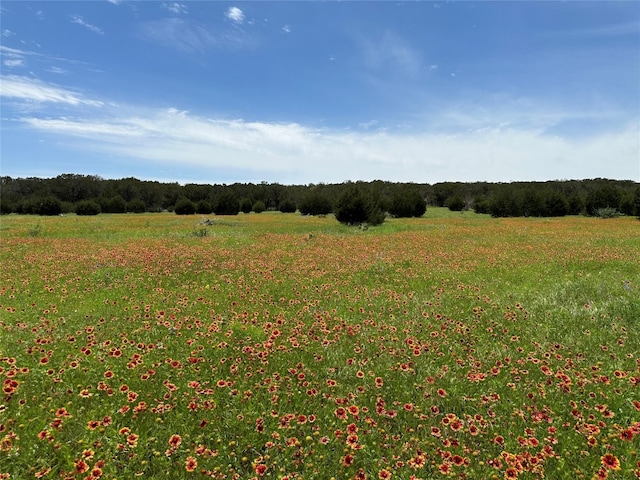 Listing photo 3 for LOT158 Addax Ct, Lampasas TX 76550