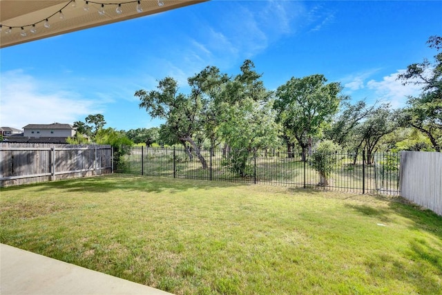 348 Empress Tree Dr, Leander, TX 78641 - view of yard