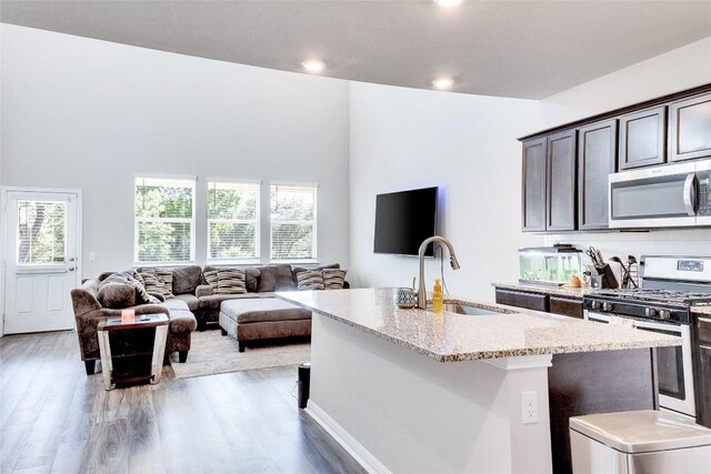 kitchen featuring sink, appliances with stainless steel finishes, a high ceiling, and hardwood / wood-style floors