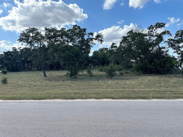 2201 Whitt Falls Cv, Leander, TX 78641 - photo 2