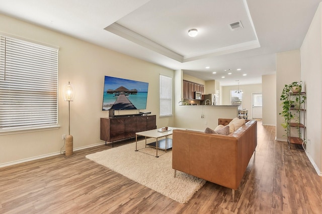 living room with hardwood / wood-style flooring and a tray ceiling