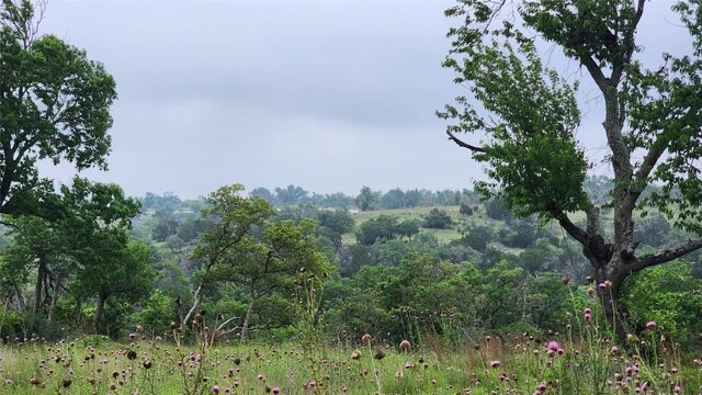 LOT48 Ridgeline Rd, Fredericksburg, TX 78624 - photo 4