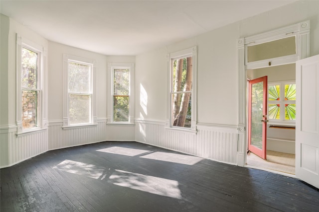 spare room with plenty of natural light and dark hardwood / wood-style floors