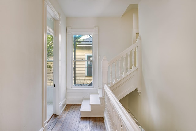 stairway with wood-type flooring