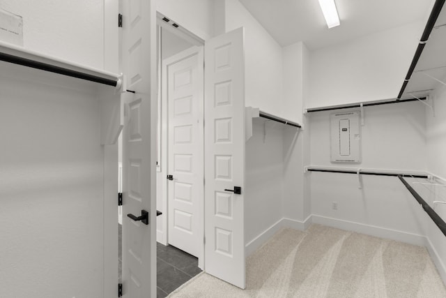 walk in closet featuring carpet flooring and electric panel