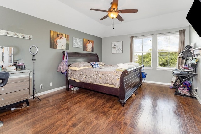 bedroom featuring a tray ceiling, ceiling fan, and dark hardwood / wood-style flooring