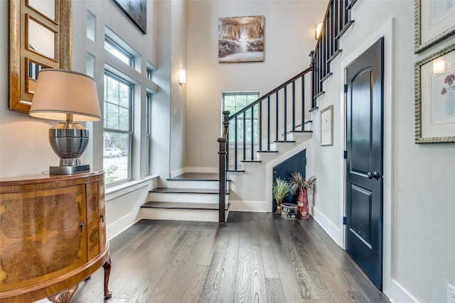 entrance foyer featuring a high ceiling and dark hardwood / wood-style flooring