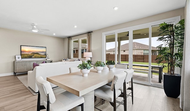 dining area with ceiling fan and light wood-type flooring