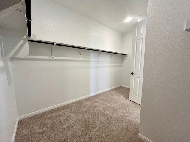 walk in closet with light carpet