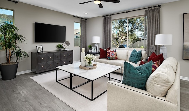 living room featuring plenty of natural light, hardwood / wood-style flooring, and ceiling fan