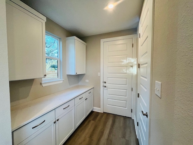 interior space featuring dark wood-type flooring and white cabinetry