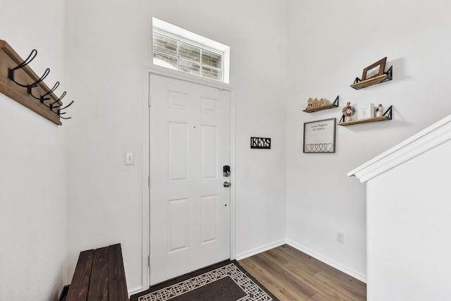 entrance foyer featuring wood-type flooring