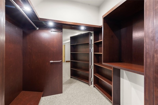 walk in closet with light colored carpet