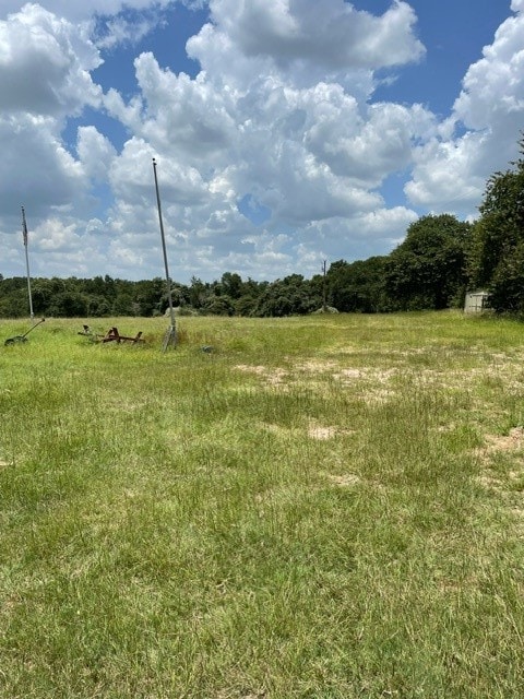 view of local wilderness featuring a rural view