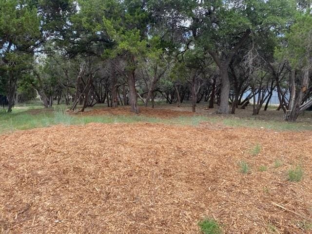 18409 Lakeland Dr, Lago Vista, TX 78645 - photo 3