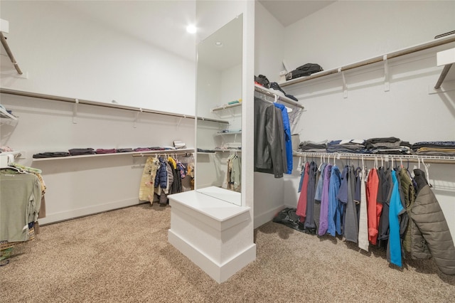 walk in closet featuring carpet floors