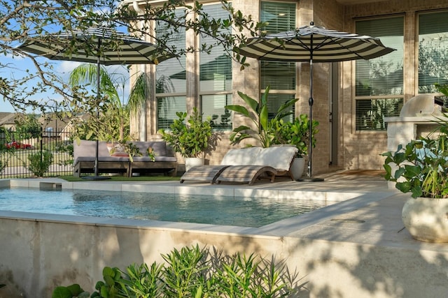 view of pool featuring a patio