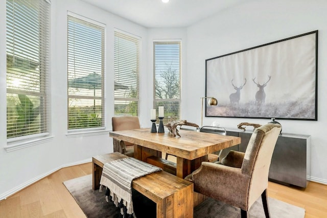 dining area with light hardwood / wood-style flooring and a healthy amount of sunlight