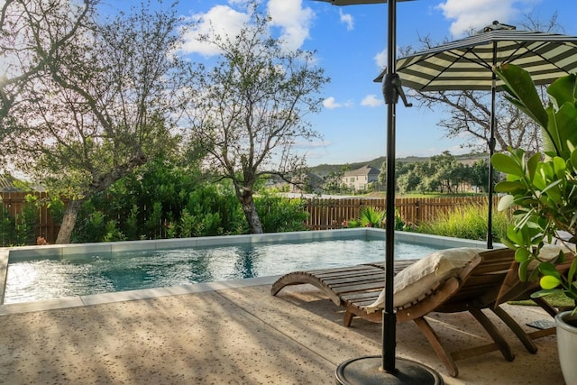 view of swimming pool featuring a patio area