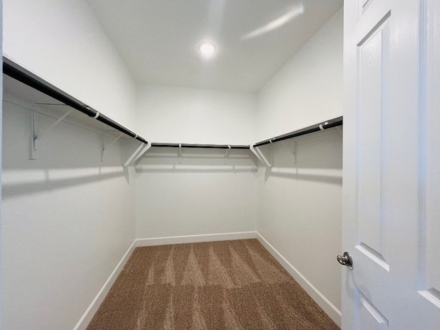 walk in closet featuring carpet