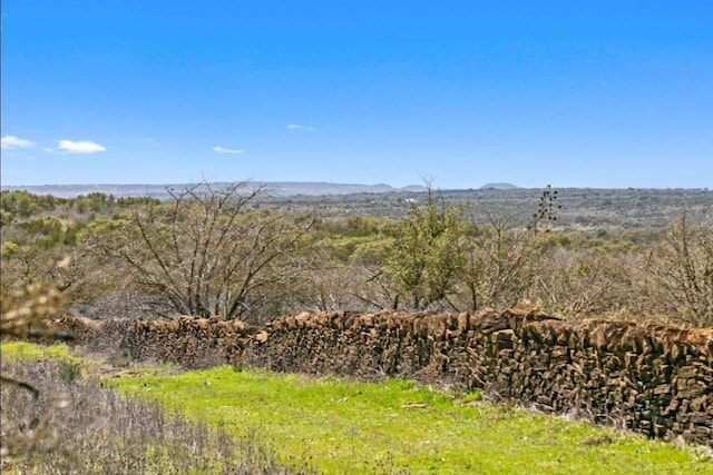 view of mountain feature