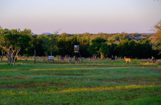 surrounding community featuring a rural view