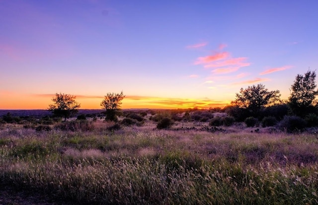 view of nature at dusk