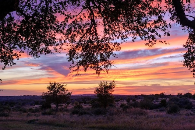 view of nature at dusk