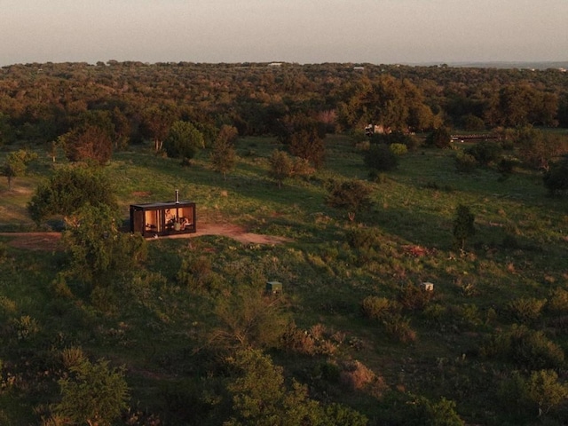 drone / aerial view featuring a rural view