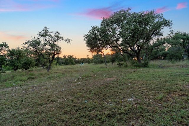 view of yard at dusk