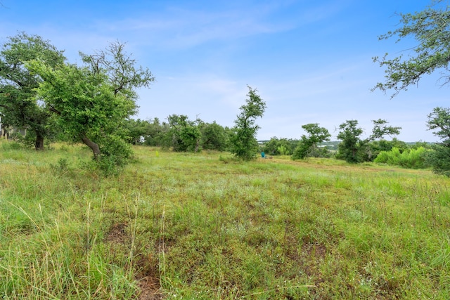 view of landscape with a rural view