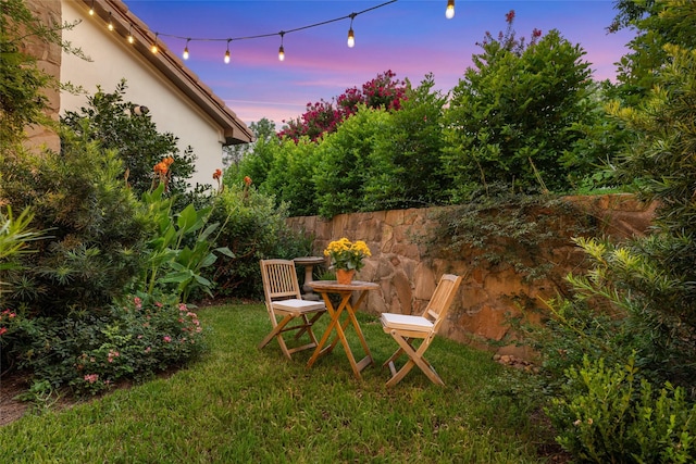 view of yard at dusk