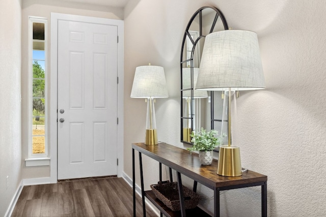 foyer featuring dark hardwood / wood-style floors