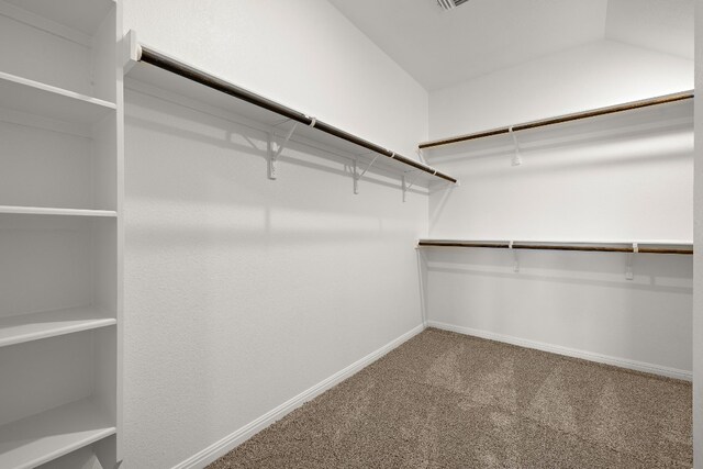 walk in closet with carpet flooring