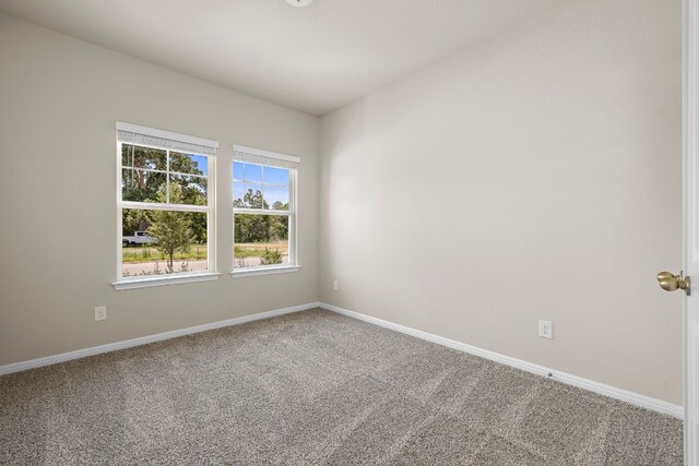 empty room featuring carpet floors