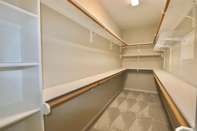 walk in closet featuring light colored carpet