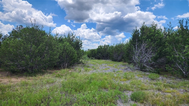 LOT19 Homestead Dr, Lampasas TX, 76550 land for sale