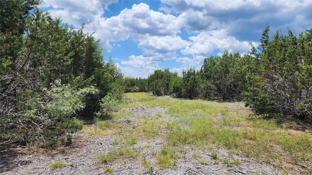 Listing photo 2 for LOT19 Homestead Dr, Lampasas TX 76550