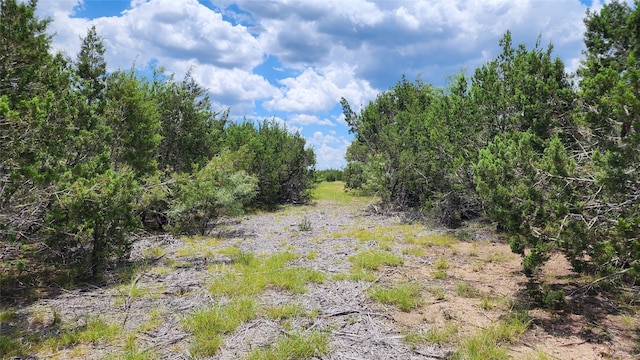 Listing photo 3 for LOT19 Homestead Dr, Lampasas TX 76550