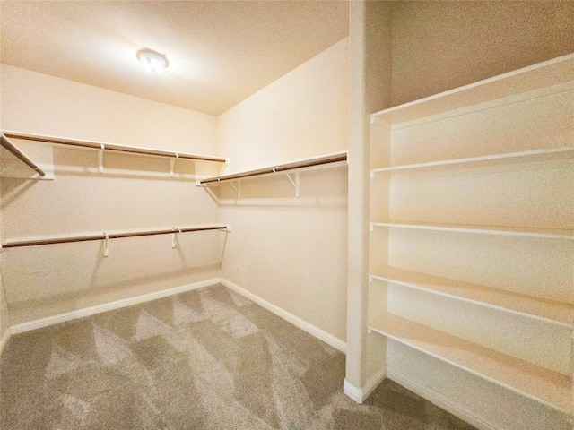 walk in closet with carpet flooring